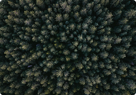 Space-o Corporate Promotional Video